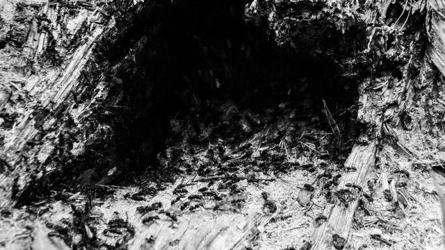 Experiments photograph 18 of 27 by Matej Holek