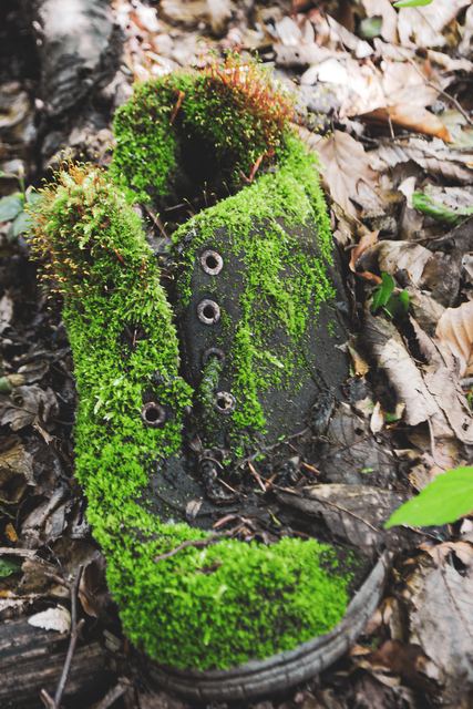 Experiments photograph 9 of 27 by Matej Holek