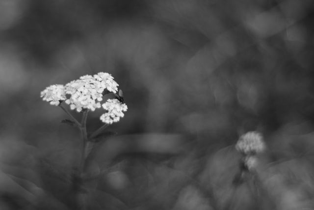 Experiments photograph 22 of 27 by Matej Holek