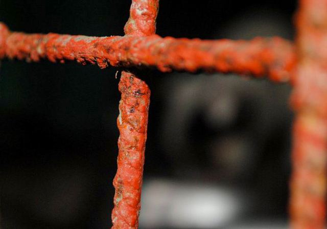 Experiments photograph 12 of 27 by Matej Holek