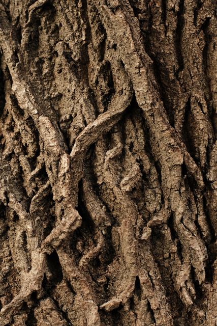 Plants photograph 25 of 36 by Matej Holek