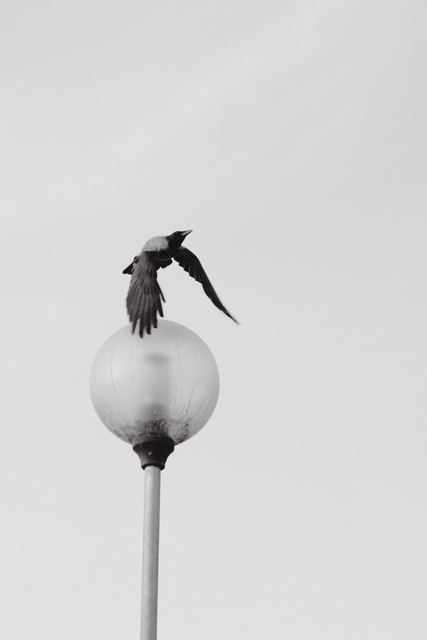 Urban & Street photograph 34 of 73 by Matej Holek
