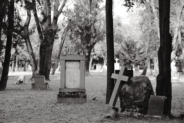 Urban & Street photograph 61 of 73 by Matej Holek