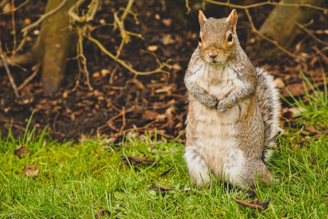 Wildlife & Animals photograph 9 of 26 by Matej Holek