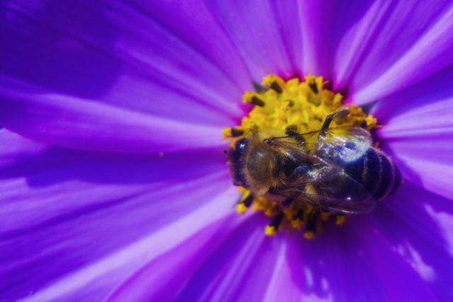 Wildlife & Animals photograph 11 of 26 by Matej Holek
