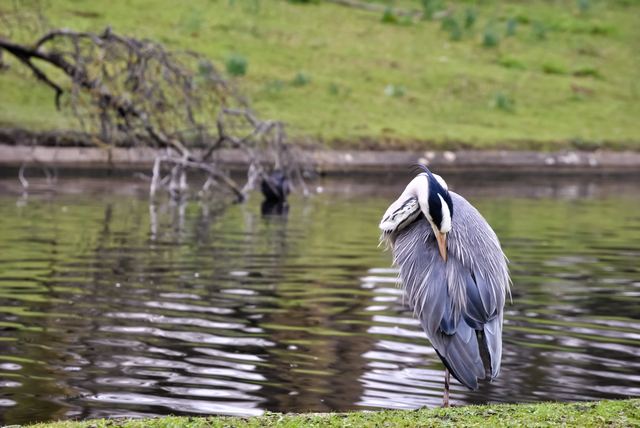 Wildlife & Animals photograph 14 of 26 by Matej Holek