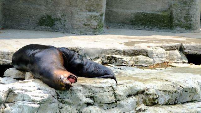 Wildlife & Animals photograph 16 of 26 by Matej Holek