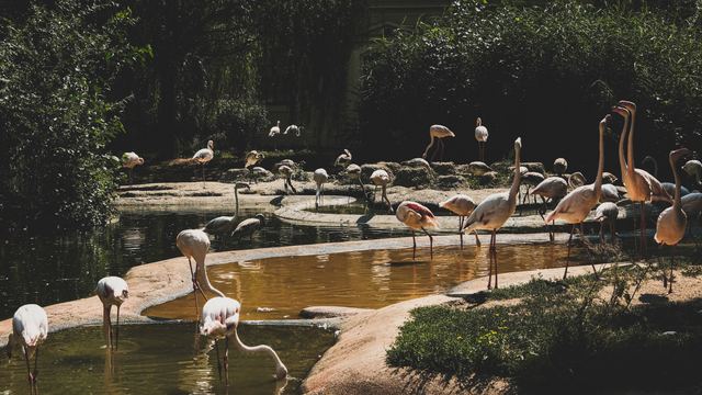 Wildlife & Animals photograph 18 of 26 by Matej Holek