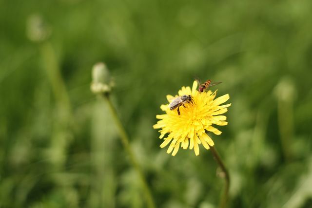 Wildlife & Animals photograph 19 of 26 by Matej Holek
